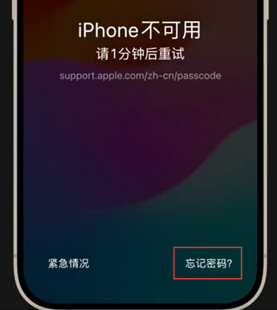 工业园区苹果手机密码维修分享iPhone忘记了刚设置的密码 