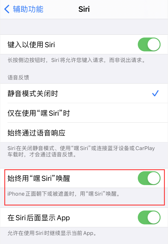 工业园区苹果手机维修分享使用 iPhone 12 时 Siri 不会正常回应怎么办 
