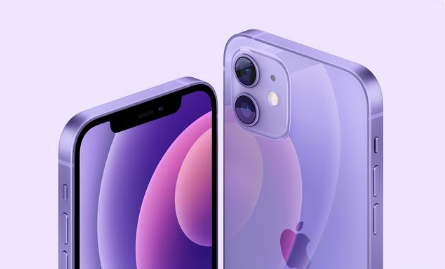 工业园区苹果手机维修分享紫色版iPhone 12有什么技术亮点 
