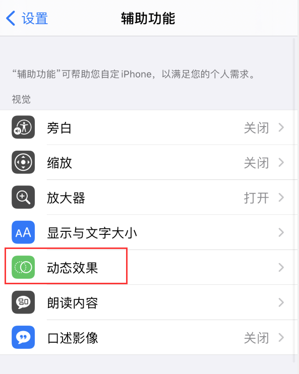 工业园区苹果手机维修分享iPhone 12 退出应用时没有动画显示，如何设置 